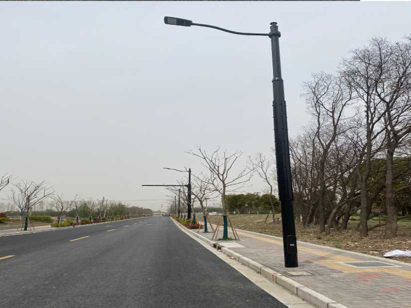 临潼区上海综合杆 太阳能路灯工程